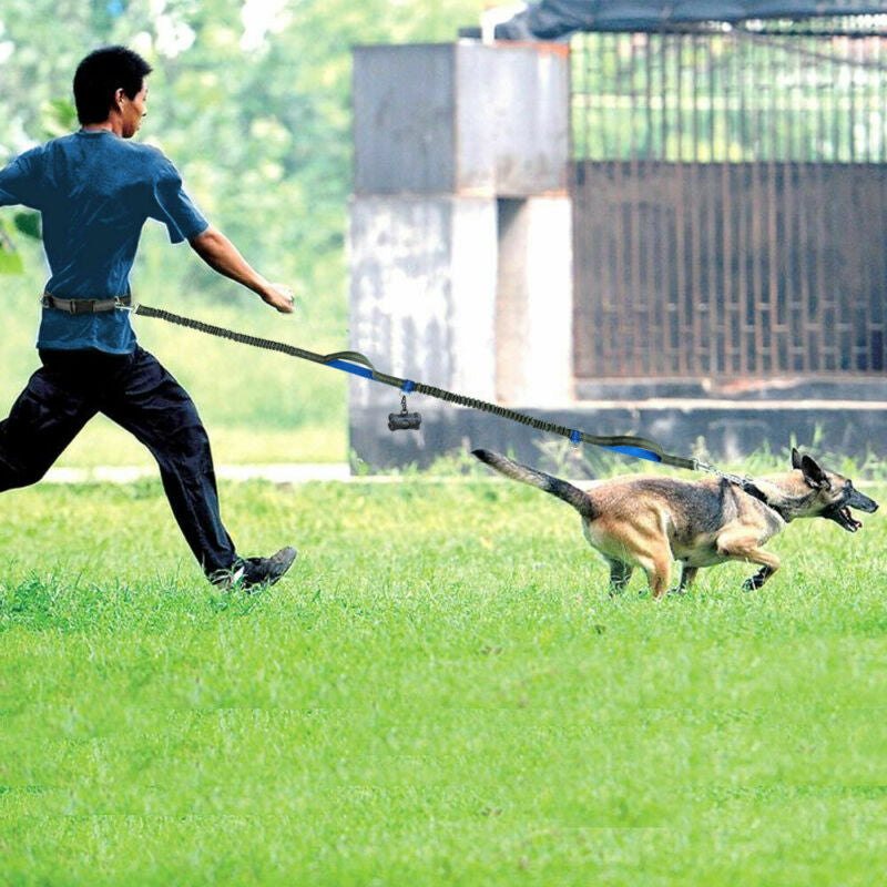 Amazon Direct Pet Supplies Multi-Function Running Reflective Pull Dog Leash Double Elastic Dog Leash Traction