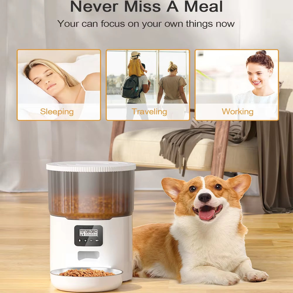 New 4L Pet Feeder Cat Dog Smart Food Dispenser Regular Quantitative Feeding with Audio Recording Feeding Bowls Pet Supplies
