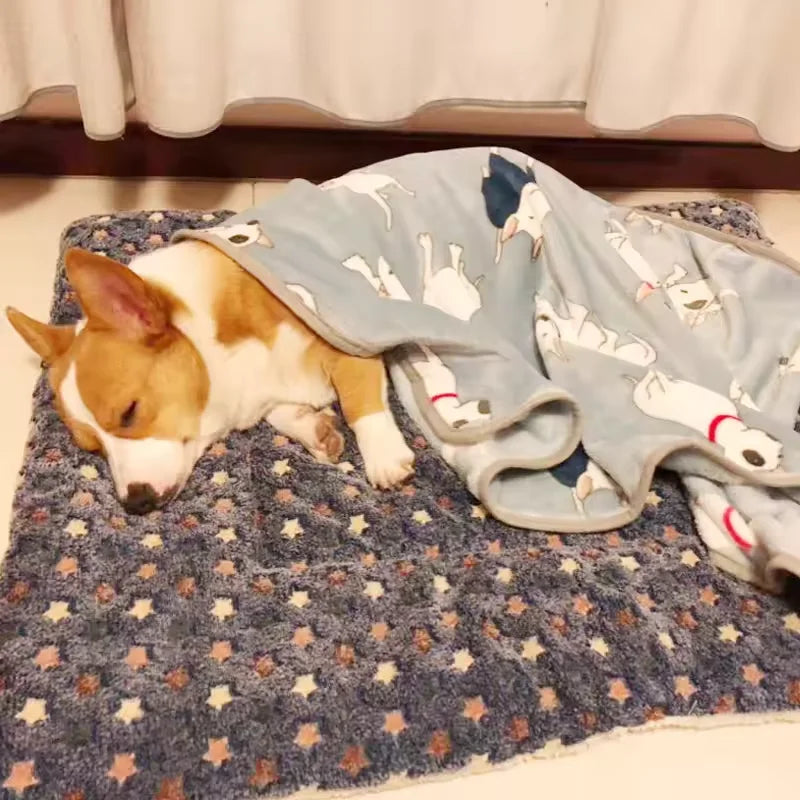 Flannel Thickened Dog Bed Mat Soft Pet Sleeping Mat for Dogs Cats Winter Warm Pet Blanket Fleece Pet Sleeping Mat Dog Bed Cat