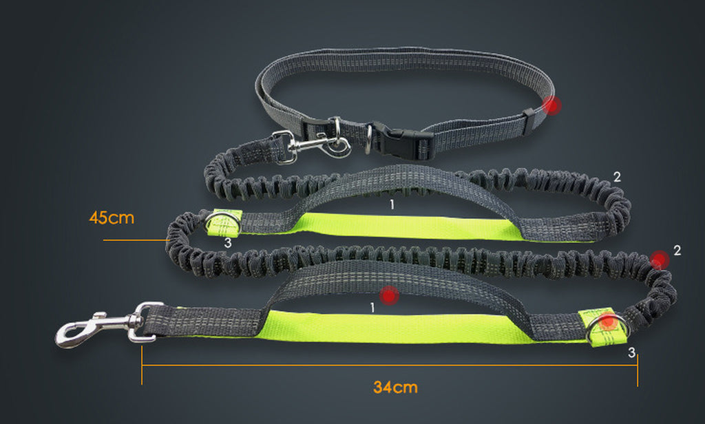 Amazon Direct Pet Supplies Multi-Function Running Reflective Pull Dog Leash Double Elastic Dog Leash Traction