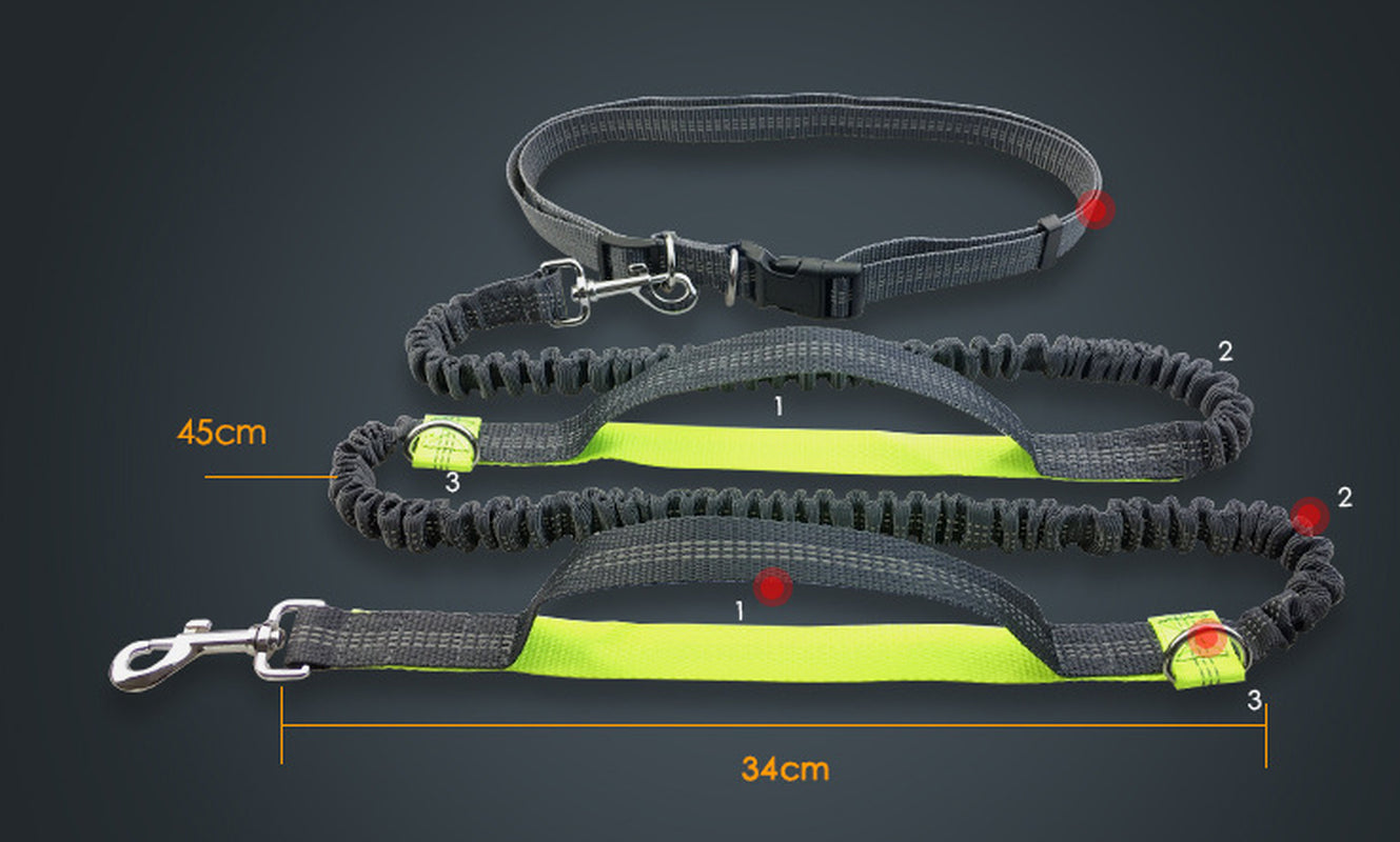 Amazon Direct Pet Supplies Multi-Function Running Reflective Pull Dog Leash Double Elastic Dog Leash Traction