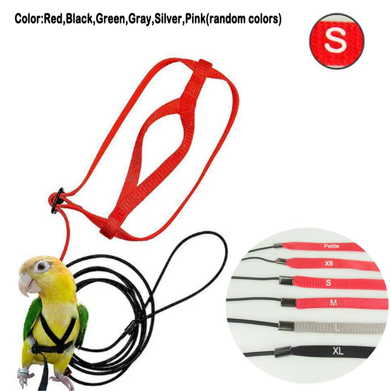 Bird Harness Leash Anti-Bite Training Rope Outdoor Flying Harness Leash